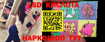 стаф Будённовск