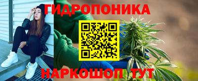 стаф Будённовск