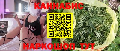 стаф Будённовск