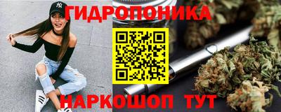 стаф Будённовск