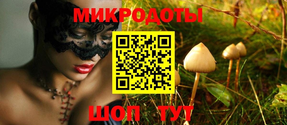 купить закладку  Псилоцибиновые грибы GOLDEN TEACHER  Вход с VPN  Североуральск 
