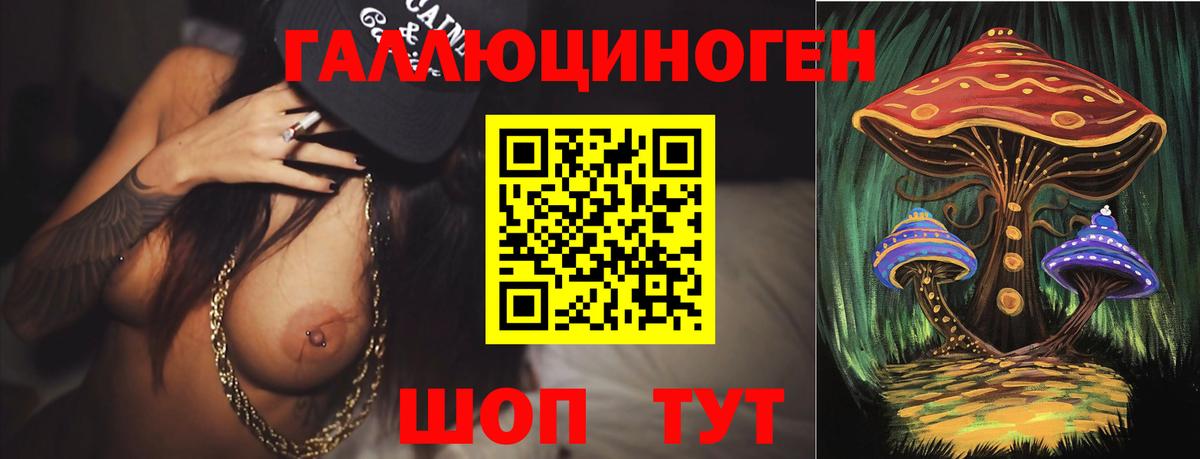 Галлюциногенные грибы Psilocybine cubensis Североуральск
